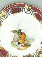 Fine & Rare Colebrookdale Porcelain John Rose Cabinet Plate 19th Century (3 of 5) Fine & Rare Colebrookdale Porcelain John Rose Cabinet Plate 19th Century (3 of 5)