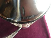 Excellent Silver/Glass Claret Jug (9 of 9) Excellent Silver/Glass Claret Jug (9 of 9)