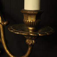 French Gilded Brass Twin Arm Antique Wall Lights (10 of 10) French Gilded Brass Twin Arm Antique Wall Lights (10 of 10)