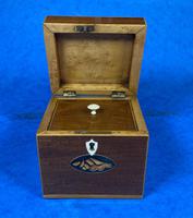 Georgian Single Mahogany Tea Caddy with Inlaid Shell (12 of 12) Georgian Single Mahogany Tea Caddy with Inlaid Shell (12 of 12)