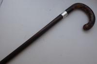 Walking Stick Cane Silver Collar Rosewood Shaft Tortoise Shell Handle (2 of 10) Walking Stick Cane Silver Collar Rosewood Shaft Tortoise Shell Handle (2 of 10)