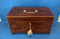 George III Mahogany Twin Canister Tea Caddy (5 of 17) George III Mahogany Twin Canister Tea Caddy (5 of 17)