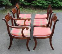 1830's - Regency Set 6 Mahogany Barback Dining Chairs + Pop Out Seat 5+1 Carver (5 of 5) 1830's - Regency Set 6 Mahogany Barback Dining Chairs + Pop Out Seat 5+1 Carver (5 of 5)