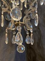 One Light Italian Chandelier (8 of 8) One Light Italian Chandelier (8 of 8)