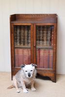Small Proportioned Oak Glazed Bookcase (5 of 10) Small Proportioned Oak Glazed Bookcase (5 of 10)