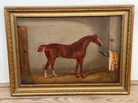 Victorian Oil Painting Chestnut Horse Portrait In Stable Signed Edwin Loder (2 of 42) Victorian Oil Painting Chestnut Horse Portrait In Stable Signed Edwin Loder (2 of 42)