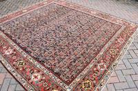 Antique Ferahan square room size carpet 308x274cm (3 of 8) Antique Ferahan square room size carpet 308x274cm (3 of 8)