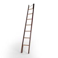 Fine George III Mahogany Pole Ladder
