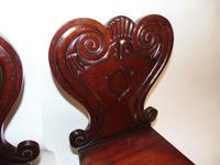 Pair of Regency Mahogany Hall Chairs (3 of 7) Pair of Regency Mahogany Hall Chairs (3 of 7)