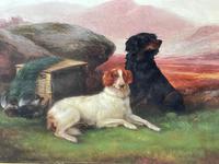 19th Century Oil Painting Sporting "Game Dogs" Signed Robert Cleminson (16 of 48) 19th Century Oil Painting Sporting "Game Dogs" Signed Robert Cleminson (16 of 48)