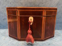 Georgian Hexagonal Mahogany Twin Section Tea Caddy with Inlay (6 of 18) Georgian Hexagonal Mahogany Twin Section Tea Caddy with Inlay (6 of 18)