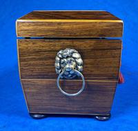 Regency Rosewood Twin Section Tea Caddy (3 of 12) Regency Rosewood Twin Section Tea Caddy (3 of 12)