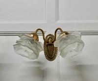 Brass Wall Light Set with Flower Shades, 1 Double and 2 Single Lights (13 of 14) Brass Wall Light Set with Flower Shades, 1 Double and 2 Single Lights (13 of 14)