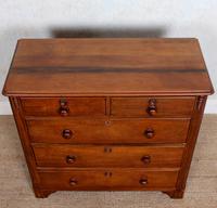 Walnut Chest of Drawers Victorian 19th Century (8 of 11) Walnut Chest of Drawers Victorian 19th Century (8 of 11)