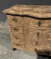 Early 19th Century Bleached Walnut Commode Chest of Drawers (9 of 13) Early 19th Century Bleached Walnut Commode Chest of Drawers (9 of 13)