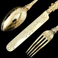 Antique Victorian Solid Silver Gilt Traveling / Christening Cutlery Set - Martin Hall & Co. 1872 (19 of 22) Antique Victorian Solid Silver Gilt Traveling / Christening Cutlery Set - Martin Hall & Co. 1872 (19 of 22)