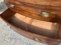 Large Regency Mahogany Bow Front Chest of Drawers (10 of 19) Large Regency Mahogany Bow Front Chest of Drawers (10 of 19)