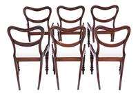 Set of 6 William IV Mahogany Balloon Back Dining Chairs c.1835 (8 of 8) Set of 6 William IV Mahogany Balloon Back Dining Chairs c.1835 (8 of 8)