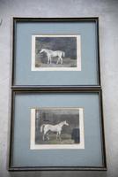 Pair Antique Race Horse Engravings (11 of 11) Pair Antique Race Horse Engravings (11 of 11)
