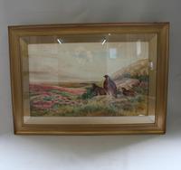 Pair of Gilt Framed Watercolour Paintings of Grouse (2 of 9) Pair of Gilt Framed Watercolour Paintings of Grouse (2 of 9)
