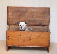 Small Proportioned Pine Coffer (3 of 10) Small Proportioned Pine Coffer (3 of 10)