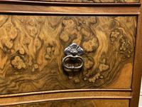 Burr Walnut Serpentine Chest (4 of 9) Burr Walnut Serpentine Chest (4 of 9)