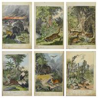 6 Framed Animal Coloured Pictures Plates C1877 Sketches from Nature - N America & Canada (9 of 12) 6 Framed Animal Coloured Pictures Plates C1877 Sketches from Nature - N America & Canada (9 of 12)