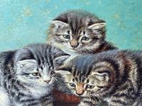 19th Century Oil Painting 3 Kittens Reflection by Horatio Henry Couldery (19 of 44) 19th Century Oil Painting 3 Kittens Reflection by Horatio Henry Couldery (19 of 44)