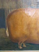 Naive Pig Portrait (2 of 4) Naive Pig Portrait (2 of 4)