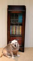 Slim Oak Glazed Bookcase (8 of 9) Slim Oak Glazed Bookcase (8 of 9)
