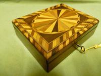 Specimen Wood Trinket Box. C1880 (11 of 12) Specimen Wood Trinket Box. C1880 (11 of 12)