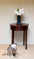 Early 19th Century Mahogany Side Table c.1820 (8 of 10) Early 19th Century Mahogany Side Table c.1820 (8 of 10)