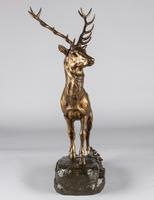 Stunning 19th Century French Bronze Sculpture of Stag, Signed J.E.Masson (3 of 10) Stunning 19th Century French Bronze Sculpture of Stag, Signed J.E.Masson (3 of 10)