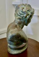 Bust of a Young Satyr in a Bronze Patina (5 of 7) Bust of a Young Satyr in a Bronze Patina (5 of 7)