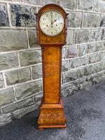 Antique Walnut & Burr Walnut Granddaughter Clock