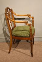 19th Century Carved Armchair in Satin Birch & Satinwood (4 of 7) 19th Century Carved Armchair in Satin Birch & Satinwood (4 of 7)