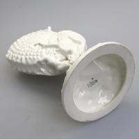 Royal Worcester : Novelty Blanc de Chine Type Porcelain Nautilus Shell Porcelain Vase C.1959 (8 of 9) Royal Worcester : Novelty Blanc de Chine Type Porcelain Nautilus Shell Porcelain Vase C.1959 (8 of 9)