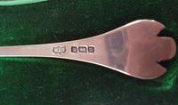 Cased Set of Sterling Silver Tea Spoons and Tongs (3 of 5) Cased Set of Sterling Silver Tea Spoons and Tongs (3 of 5)