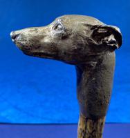 Late Victorian Birch Greyhound Walking Stick (19 of 21) Late Victorian Birch Greyhound Walking Stick (19 of 21)