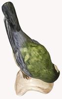 A Porcelain Figure of a Great titmouse by Goebel of Germany. (4 of 5) A Porcelain Figure of a Great titmouse by Goebel of Germany. (4 of 5)