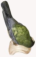 A Porcelain Figure of a Great titmouse by Goebel of Germany. (4 of 5)