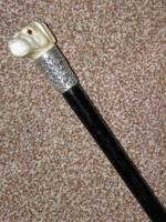 Edwardian J.Howell Hallmarked 1902 Silver Lurcher Dogs Head Walking Stick / Cane (9 of 14) Edwardian J.Howell Hallmarked 1902 Silver Lurcher Dogs Head Walking Stick / Cane (9 of 14)