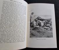 1924 1st Edition The Arab at Home by Paul W Harrison (2 of 4) 1924 1st Edition The Arab at Home by Paul W Harrison (2 of 4)