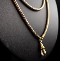 Victorian Snake Link Guard Chain (12 of 12) Victorian Snake Link Guard Chain (12 of 12)