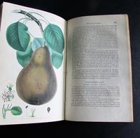 1833 The Practical Gardener & Modern Horticulturist by Charles McIntosh, 2 Volume Set (7 of 8) 1833 The Practical Gardener & Modern Horticulturist by Charles McIntosh, 2 Volume Set (7 of 8)
