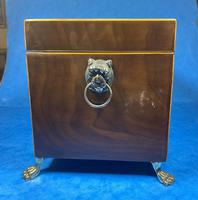 Regency Mahogany Twin Lidded Tea Caddy (7 of 17) Regency Mahogany Twin Lidded Tea Caddy (7 of 17)