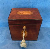 18th Century Harewood Inlaid Single Mahogany Tea Caddy (17 of 18) 18th Century Harewood Inlaid Single Mahogany Tea Caddy (17 of 18)