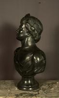Large Bronzed Plaster Library Bust Appollo (5 of 9) Large Bronzed Plaster Library Bust Appollo (5 of 9)