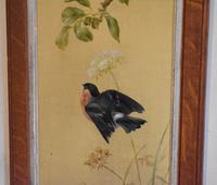 Pair of Oil Paintings of Finches in Blossom (5 of 12) Pair of Oil Paintings of Finches in Blossom (5 of 12)