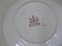 Decorative Pair of 19th Century Ironstone Plates G L Ashworth (5 of 6) Decorative Pair of 19th Century Ironstone Plates G L Ashworth (5 of 6)